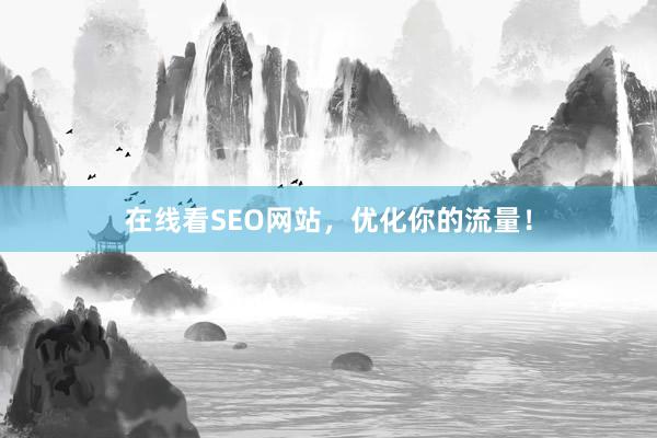 在线看SEO网站，优化你的流量！