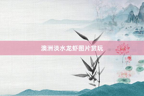 澳洲淡水龙虾图片赏玩