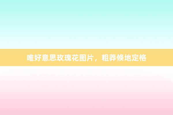 唯好意思玫瑰花图片，粗莽倏地定格